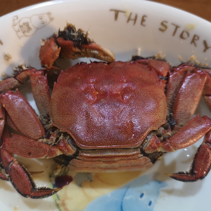 簡単 シンプル美味しいモクズガニの塩ゆで レシピ 作り方 By あさり ゚w゚ 楽天レシピ 簡単 シンプル美味しいモクズガニの塩ゆで レシピ 作り方 By あさり ゚w゚ 楽天レシピ